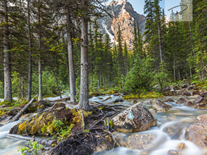 Wilder Gletscherbach in den Rocky Mountains - Kanada