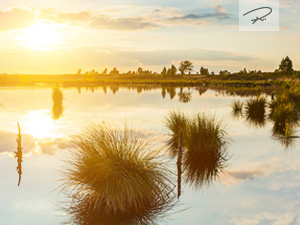 Sonnenuntergang im Hochmoor